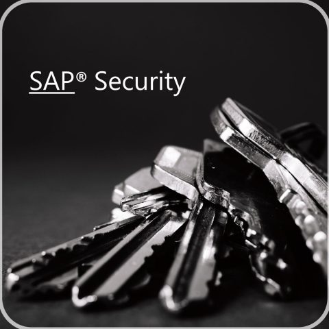 SAP security