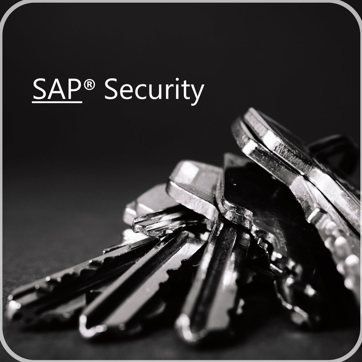 SAP Security Audit Check Iflux GmbH Germany